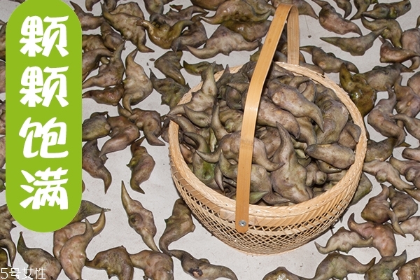 菱角為什么那么臭 可能是淤泥的味道 菱角為什么那么臭 可能是淤泥的味道