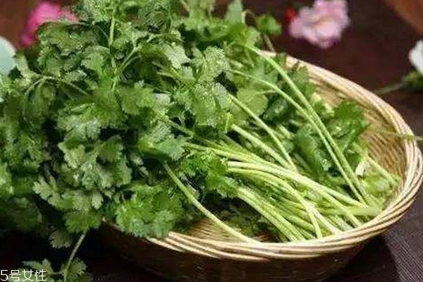 香菜會(huì)殺精嗎 沒(méi)有真實(shí)依據(jù) 香菜會(huì)殺精嗎 沒(méi)有真實(shí)依據(jù)