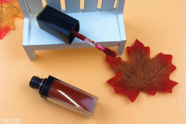 雅詩(shī)蘭黛唇釉307黃皮上嘴圖 美過(guò)秋日紅葉