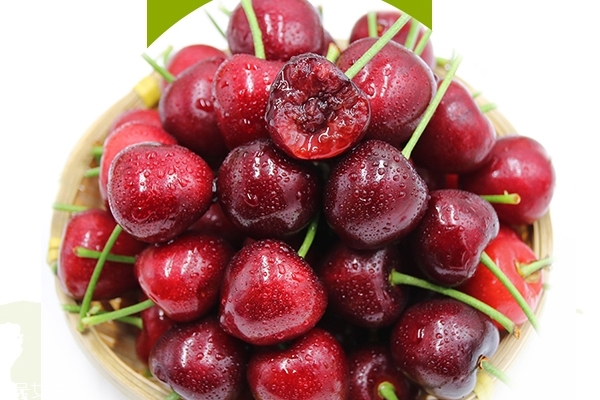 車?yán)遄佑惺裁雌贩N 車?yán)遄又R(shí)科普 車?yán)遄佑惺裁雌贩N 車?yán)遄又R(shí)科普