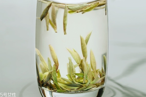 白茶怎么分好壞 學(xué)會這個(gè)就夠了