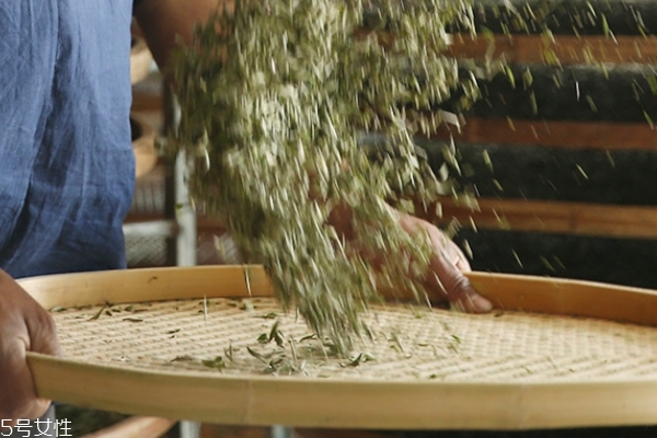 白茶怎么分好壞 學(xué)會這個(gè)就夠了