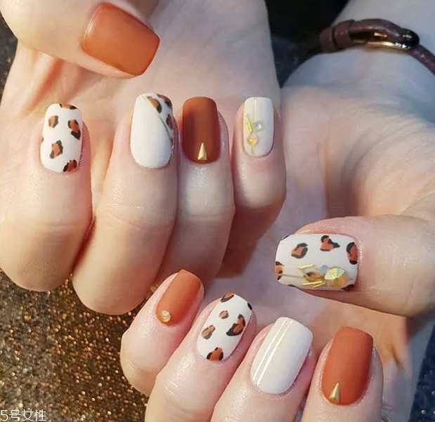 2018新款秋冬豹紋美甲 日常又有氣質(zhì)的美甲 2018新款秋冬豹紋美甲 日常又有氣質(zhì)的美甲