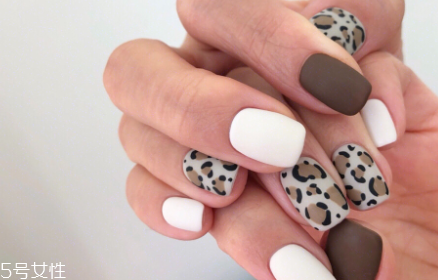 2018新款秋冬豹紋美甲 日常又有氣質(zhì)的美甲 2018新款秋冬豹紋美甲 日常又有氣質(zhì)的美甲