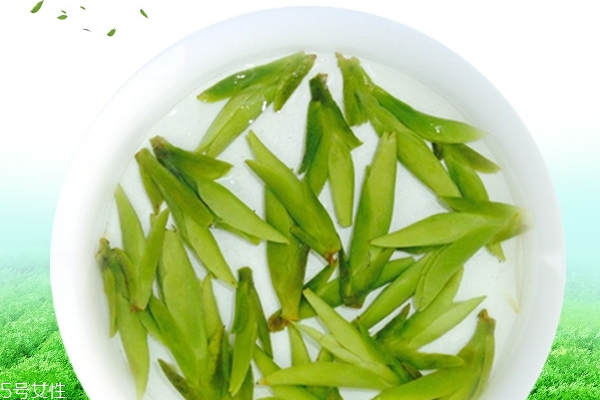 綠茶為什么苦 有幾個原因 綠茶為什么苦 有幾個原因