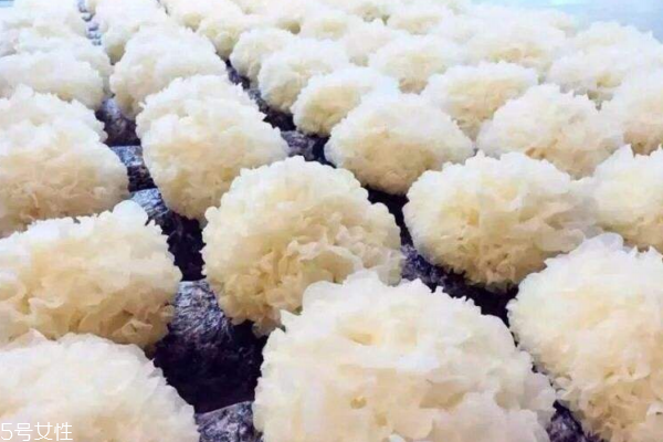 銀耳顏色白是怎么回事 太過(guò)完美必然有鬼