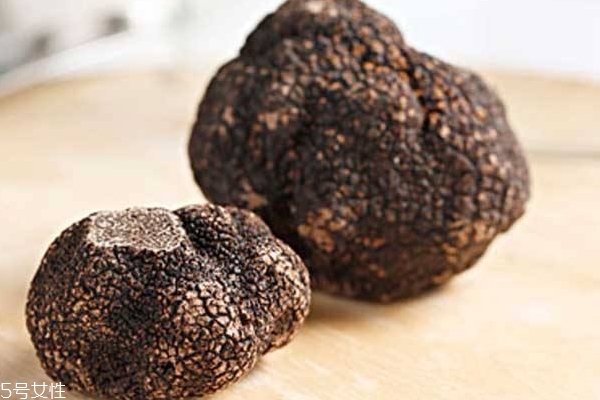 松露為什么不能養(yǎng)殖 人工栽培難度較大 松露為什么不能養(yǎng)殖 人工栽培難度較大