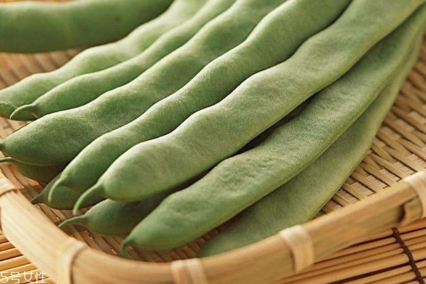 四季豆吃多了會脹氣嗎 豆類的特性 四季豆吃多了會脹氣嗎 豆類的特性
