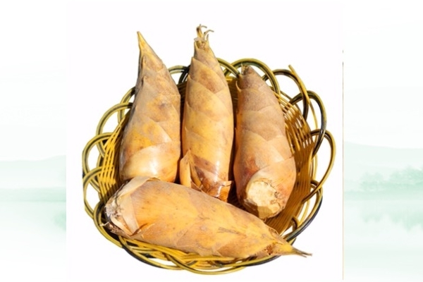 冬筍怎么處理 這樣處理才對 冬筍怎么處理 這樣處理才對