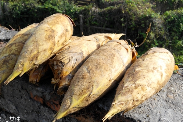 冬筍怎么處理 這樣處理才對 冬筍怎么處理 這樣處理才對