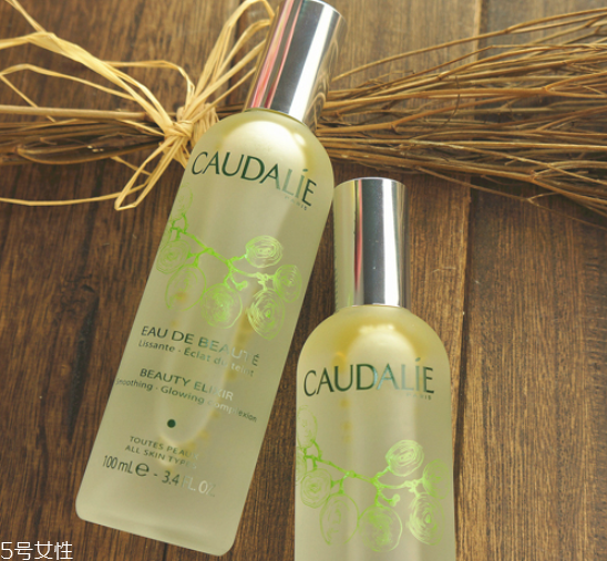 化妝水要用化妝棉嗎 最熱門美容護(hù)膚小竅門 化妝水要用化妝棉嗎 最熱門美容護(hù)膚小竅門