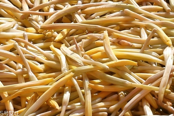黃花菜有什么營養(yǎng) 營養(yǎng)多多 黃花菜有什么營養(yǎng) 營養(yǎng)多多