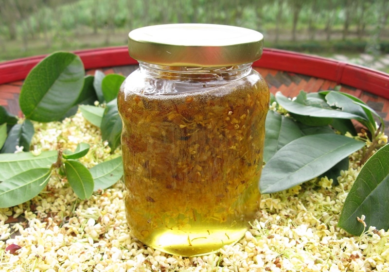 桂花盆栽的養(yǎng)殖方法 教你在家種花品香 桂花盆栽的養(yǎng)殖方法 教你在家種花品香