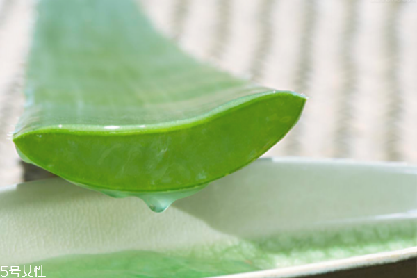 天天用酸奶做面膜好嗎 酸奶面膜天天敷的危害 天天用酸奶做面膜好嗎 酸奶面膜天天敷的危害