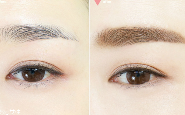 秋天畫什么眉毛好看 眉毛畫法教程 秋天畫什么眉毛好看 眉毛畫法教程