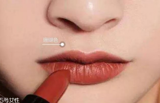 皮膚偏黃偏黑適合什么顏色口紅 皮膚偏黃偏黑口紅顏色 皮膚偏黃偏黑適合什么顏色口紅 皮膚偏黃偏黑口紅顏色