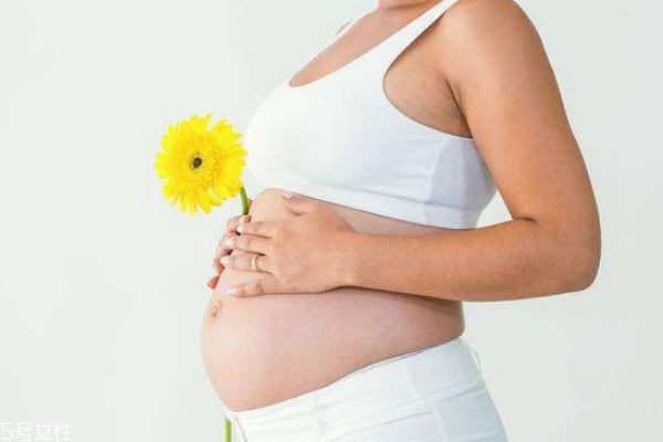 女性懷孕期能吃周黑鴨嗎 女性懷孕期能吃周黑鴨嗎