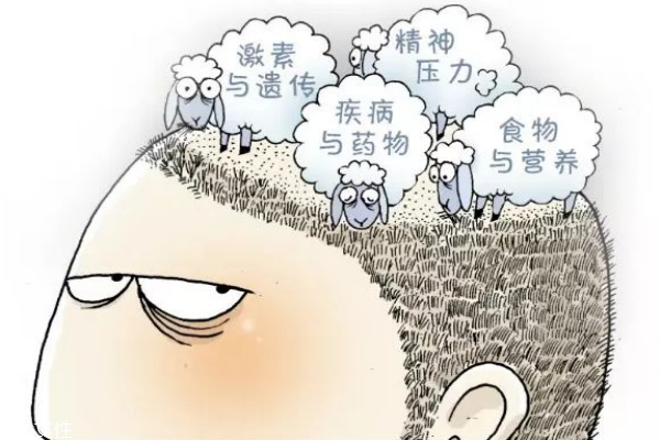 掉發(fā)多是什么原因 幫你解決掉發(fā)煩惱 掉發(fā)多是什么原因 幫你解決掉發(fā)煩惱