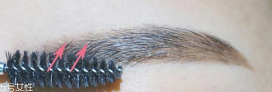 長(zhǎng)臉適合什么眉型 氣質(zhì)細(xì)長(zhǎng)眉毛畫法