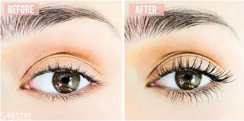 假睫毛可以涂睫毛膏嗎 假睫毛膠水的危害 假睫毛可以涂睫毛膏嗎 假睫毛膠水的危害