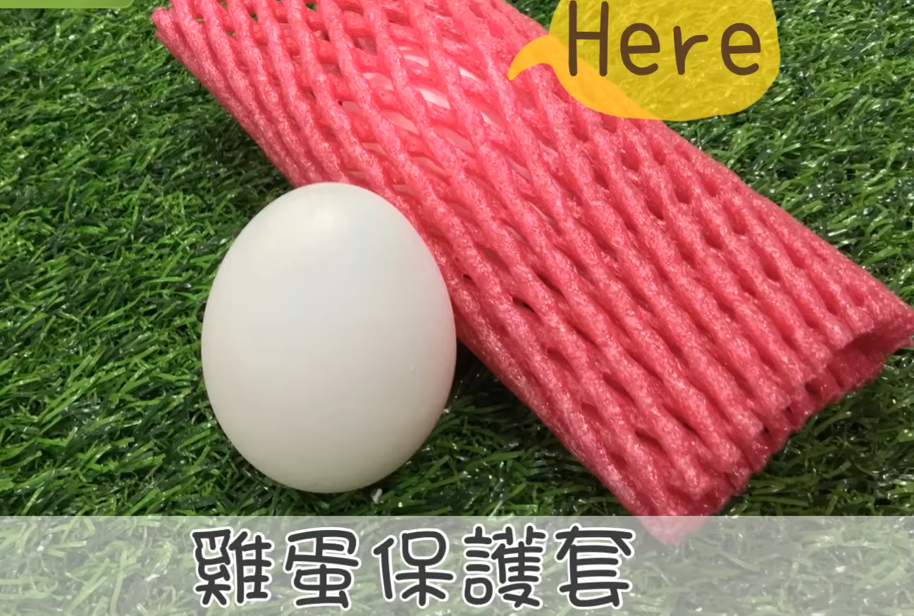 水果泡沫網套的妙用 5大妙用省錢省事 水果泡沫網套的妙用 5大妙用省錢省事