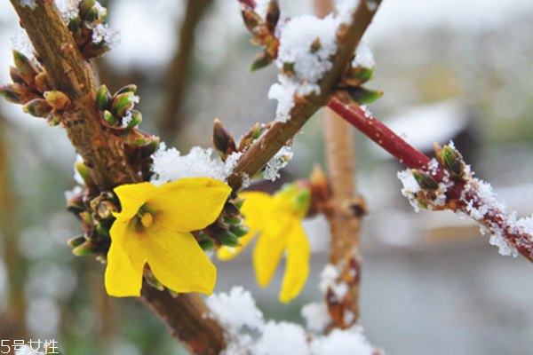 長(zhǎng)期便秘怎么調(diào)理腸胃 治療便秘的中藥 長(zhǎng)期便秘怎么調(diào)理腸胃 治療便秘的中藥