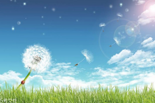 長(zhǎng)期便秘怎么調(diào)理腸胃 治療便秘的中藥 長(zhǎng)期便秘怎么調(diào)理腸胃 治療便秘的中藥