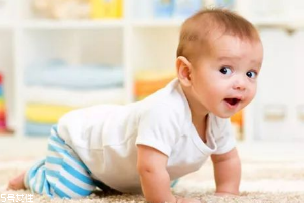 寶寶不會(huì)爬直接走好嗎 先爬后走更健康 寶寶不會(huì)爬直接走好嗎 先爬后走更健康