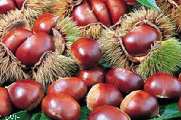 板栗熱量高嗎會發(fā)胖嗎 一天吃多少合適 板栗熱量高嗎會發(fā)胖嗎 一天吃多少合適