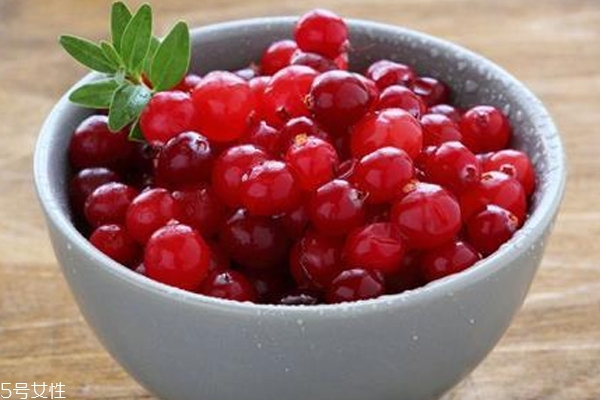 蔓越莓產(chǎn)地哪里的好 蔓越莓最優(yōu)質(zhì)3大產(chǎn)地 蔓越莓產(chǎn)地哪里的好 蔓越莓最優(yōu)質(zhì)3大產(chǎn)地