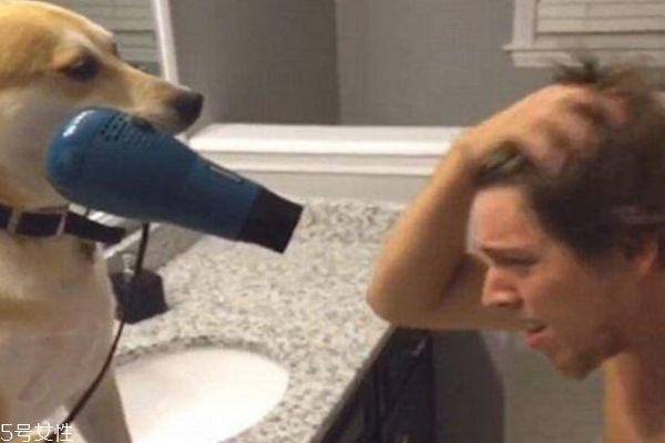 經(jīng)常用吹風機吹頭發(fā)好嗎 會傷頭發(fā)嗎