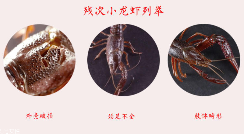 小龍蝦腹部發(fā)黑能吃嗎 臟水養(yǎng)的不要吃 小龍蝦腹部發(fā)黑能吃嗎 臟水養(yǎng)的不要吃