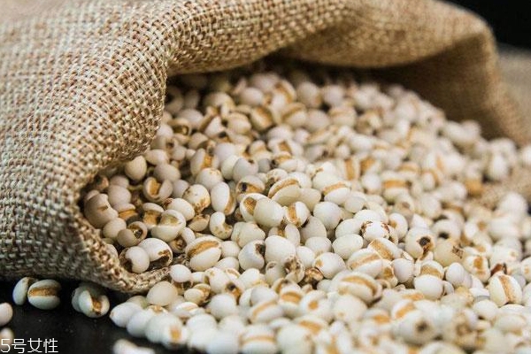 薏米怎么看好壞 薏米優(yōu)劣辨別圖 薏米怎么看好壞 薏米優(yōu)劣辨別圖