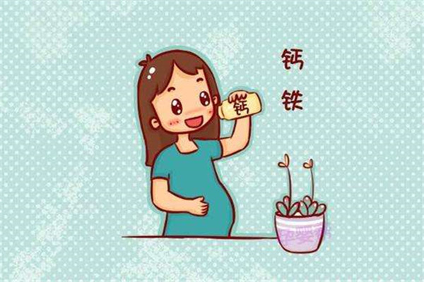 孕期需要補(bǔ)充什么營(yíng)養(yǎng) 孕期營(yíng)養(yǎng)補(bǔ)充迷思 孕期需要補(bǔ)充什么營(yíng)養(yǎng) 孕期營(yíng)養(yǎng)補(bǔ)充迷思