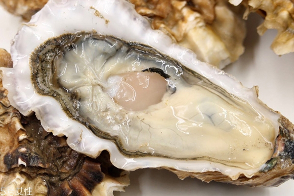 進(jìn)口生蠔能生吃嗎 品質(zhì)好價格高 進(jìn)口生蠔能生吃嗎 品質(zhì)好價格高