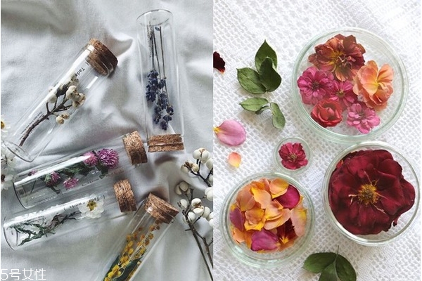 干燥花怎么做 5種干燥花制作方法 干燥花怎么做 5種干燥花制作方法