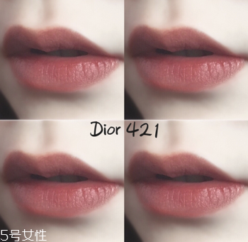 迪奧染唇液怎么樣 迪奧染唇液試色 迪奧染唇液怎么樣 迪奧染唇液試色