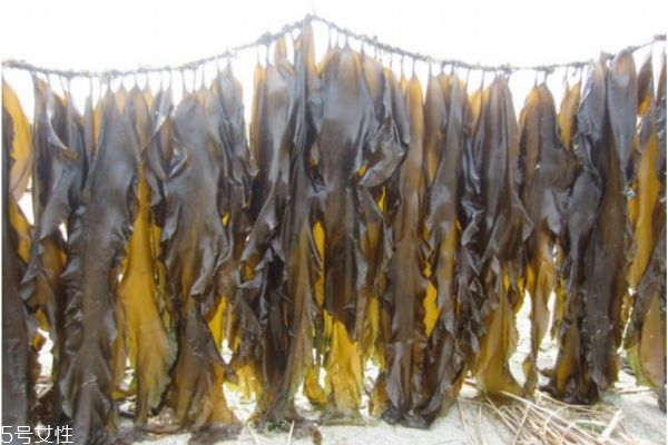 自制昆布水的步驟 昆布水料理做法 自制昆布水的步驟 昆布水料理做法