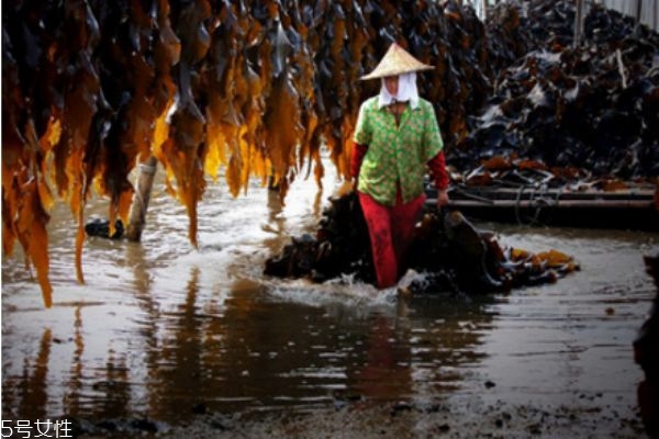 自制昆布水的步驟 昆布水料理做法 自制昆布水的步驟 昆布水料理做法