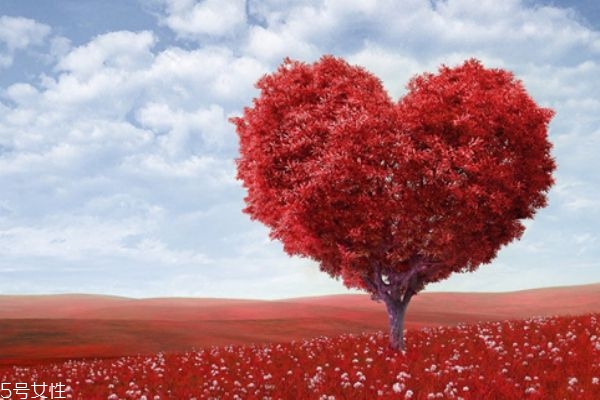 怎么求婚比較浪漫 求婚跪地姿勢(shì) 怎么求婚比較浪漫 求婚跪地姿勢(shì)