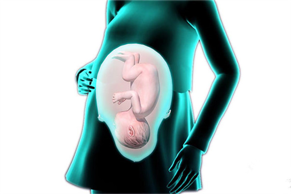 胎動什么時(shí)候開始 胎動過少須慎重