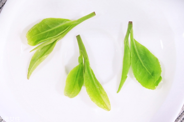 夏茶和秋茶哪個(gè)好 秋茶略顯無滋無味