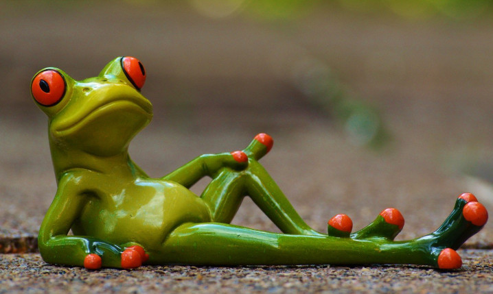 第一眼看到什么動(dòng)物就是什么人 第一眼看到的動(dòng)物測試 第一眼看到什么動(dòng)物就是什么人 第一眼看到的動(dòng)物測試