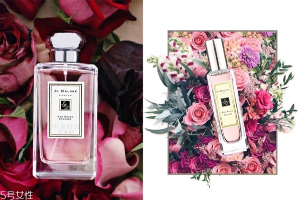玫瑰味香水哪個牌子好 5款最值得擁有的玫瑰香
