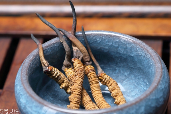 冬蟲夏草是什么氣味 從氣味如何看真假 冬蟲夏草是什么氣味 從氣味如何看真假