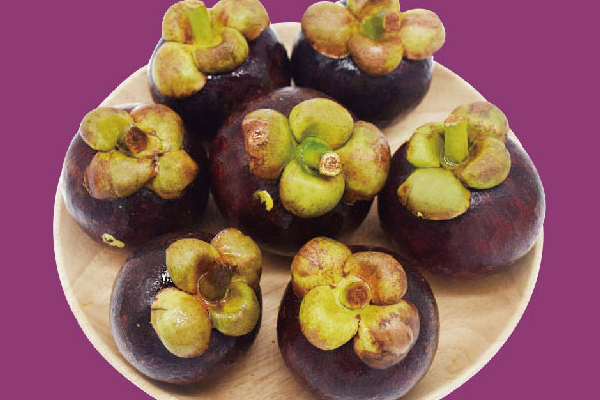 油竹和山竹的區(qū)別 山竹是統(tǒng)稱(chēng)