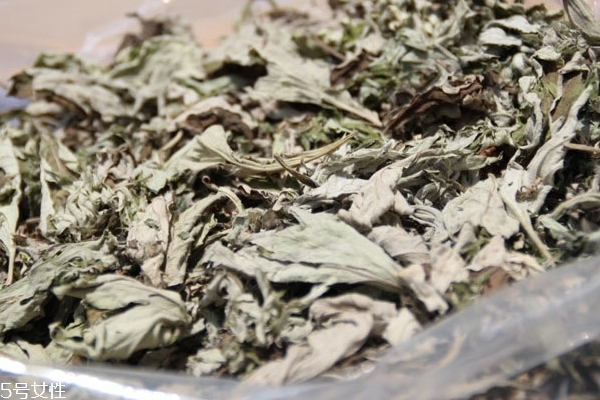 艾葉怎么煮 方法很簡單