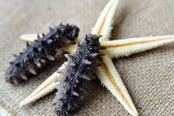 淡干海參是什么意思 煮熟后再烘干 淡干海參是什么意思 煮熟后再烘干