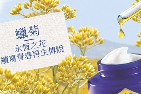 歐舒丹蠟菊面膜好不好 永恒之花續(xù)寫青春再生傳說(shuō)