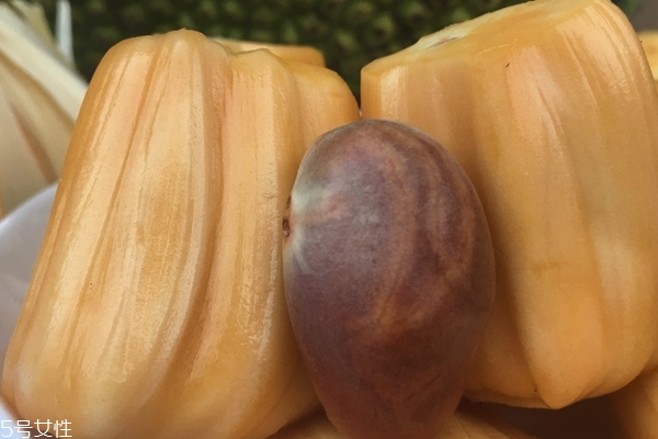 菠蘿蜜什么味道 甜中帶酸 菠蘿蜜什么味道 甜中帶酸